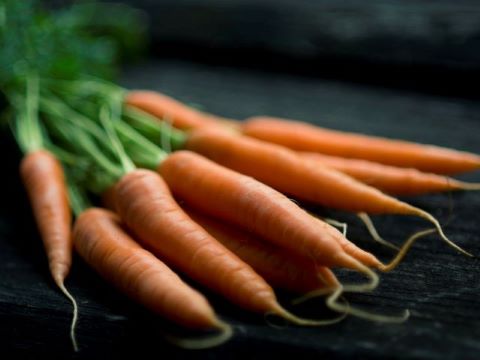 Frische Karotten im Bund mit Suppengrün