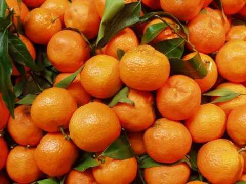 Orangen im Supermarkt