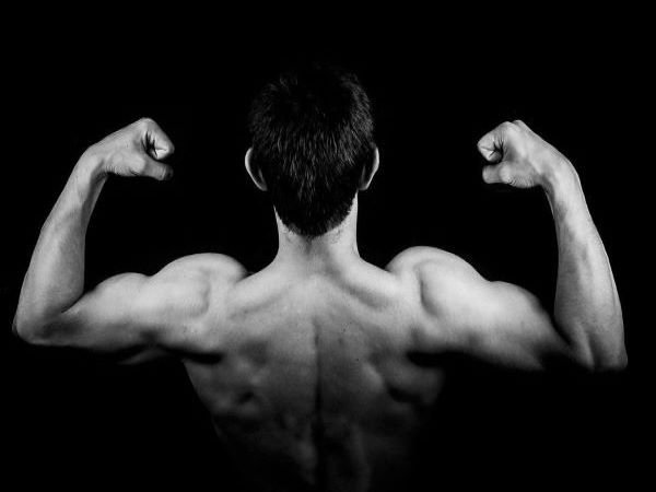 Muskulatur des Menschen: Aufbau, Funktion und Training von Muskeln