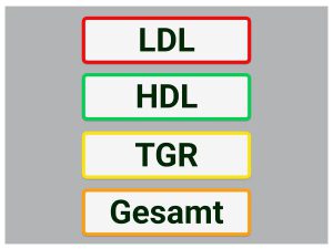 Bedeutung der Cholesterinwerte: LDL, HDL, TGR und Gesamt