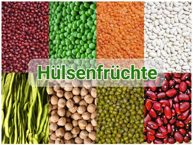 Hülsenfrüchte im Überblick