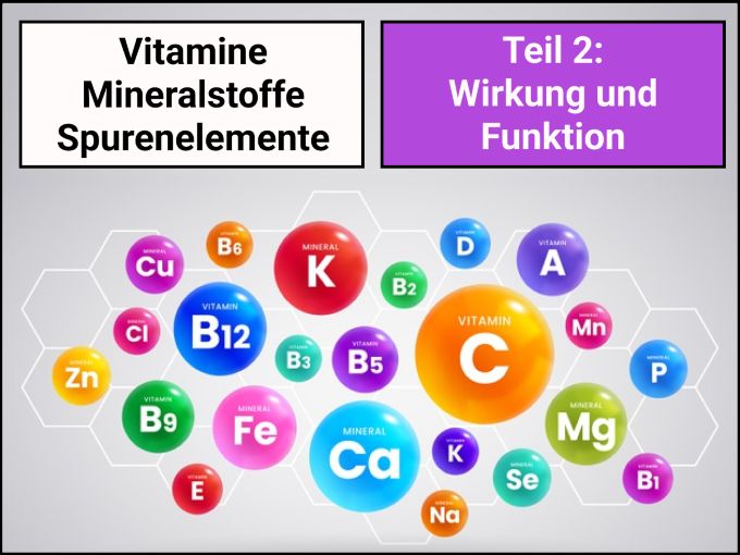 Mikronährstoffe: Funktion und Wirkung